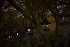 奈良　桜井市　談山神社　ライトアップ__01