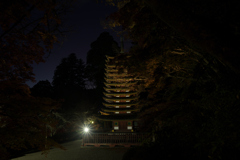 奈良　桜井市　談山神社　ライトアップ__07