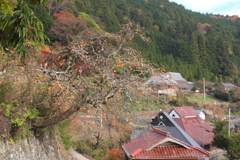 山里　秋
