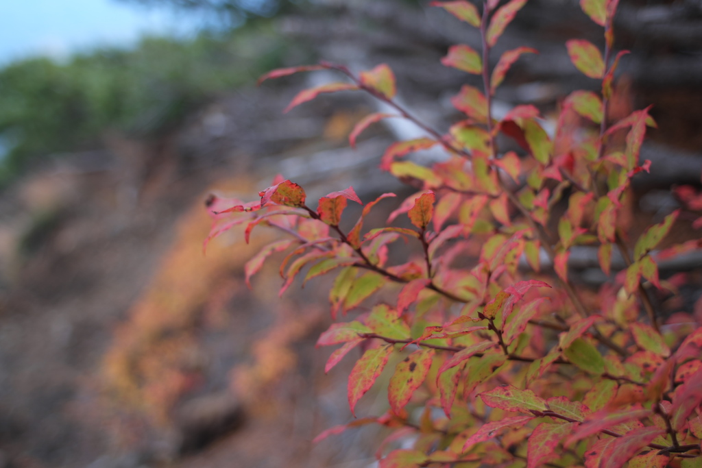紅葉と木曽御嶽山