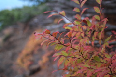 紅葉と木曽御嶽山