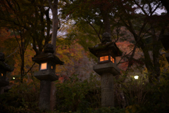 奈良　桜井市　談山神社　ライトアップ_