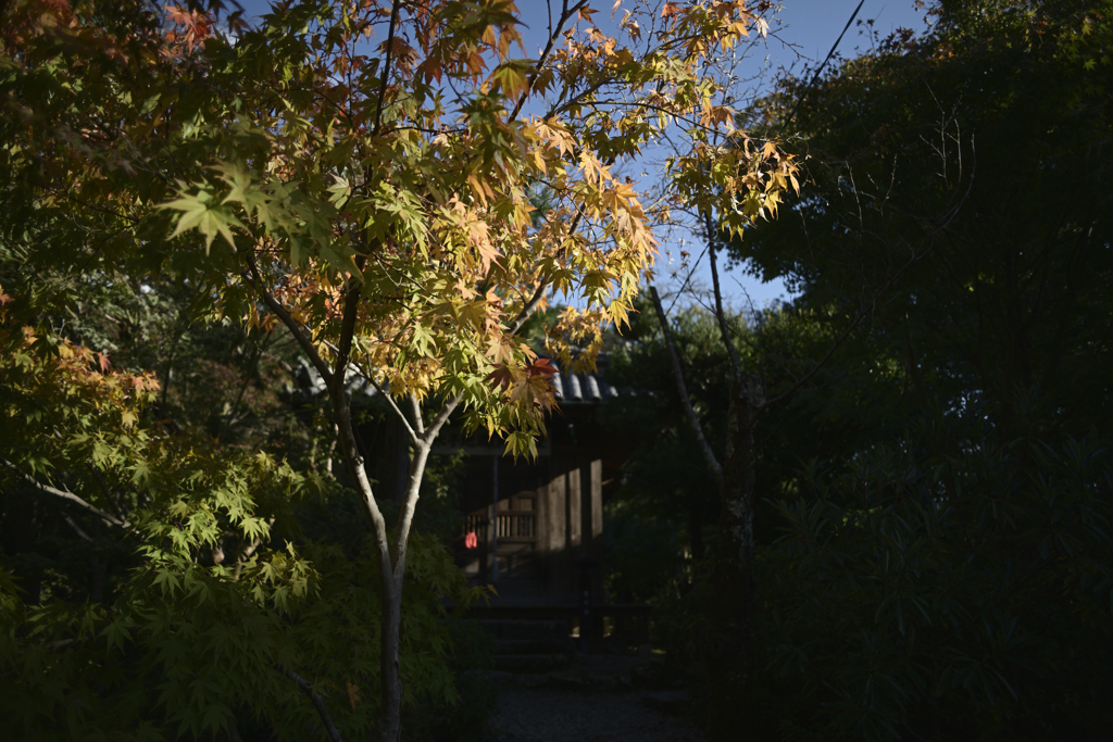 和泉市　松尾寺__04