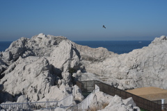 白崎海洋公園