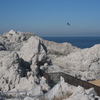 白崎海洋公園