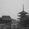 奈良　斑鳩　法隆寺
