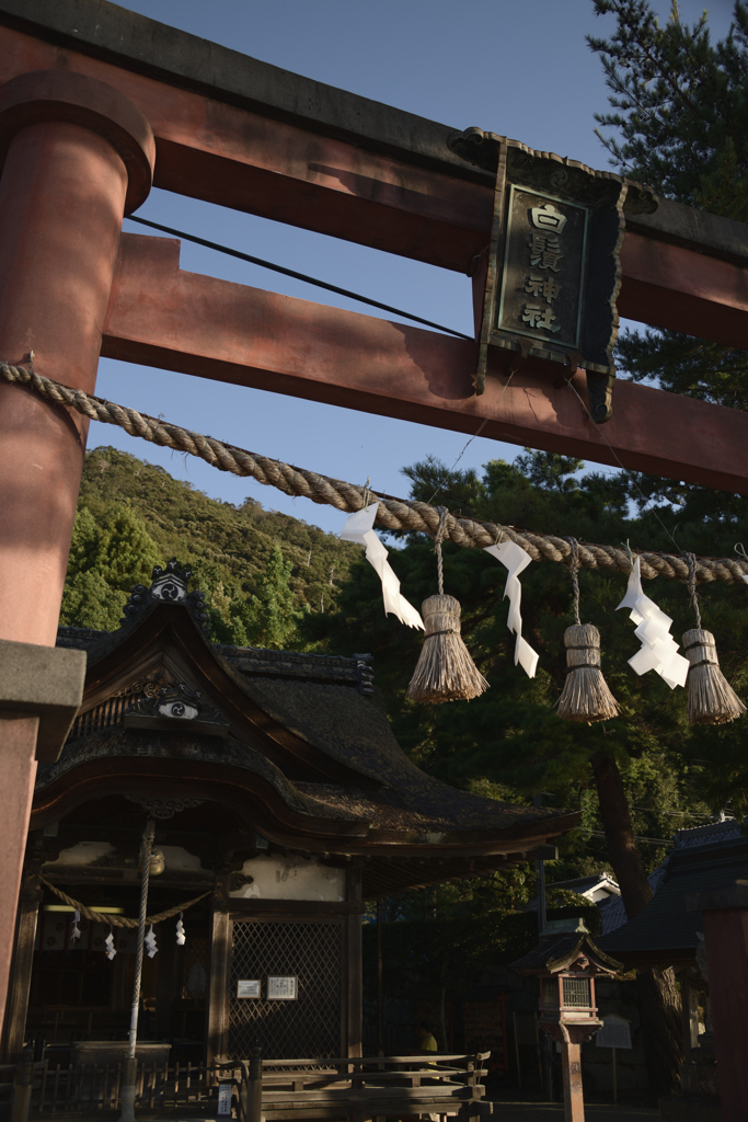 20190914湖西散策　白髭神社__05