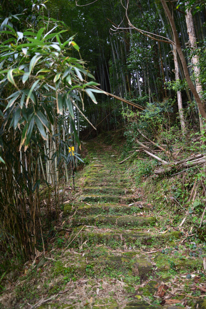 熊野古道　大門坂