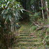 熊野古道　大門坂