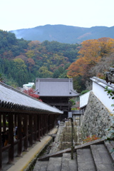 長谷寺