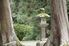 20190806 大阪府河内長野市観心寺__01