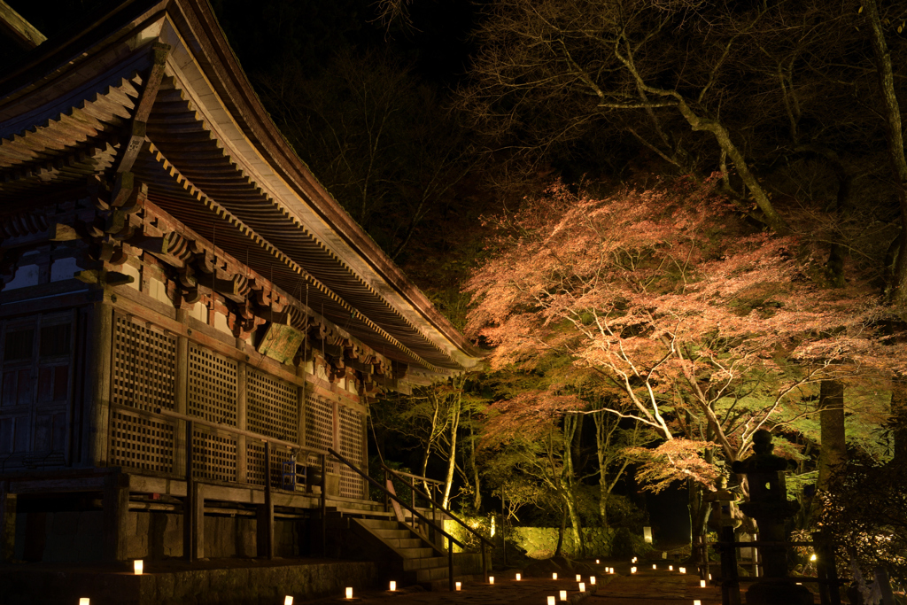 室生寺　ライトアップ__04