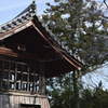 奈良　葛城　当麻寺_