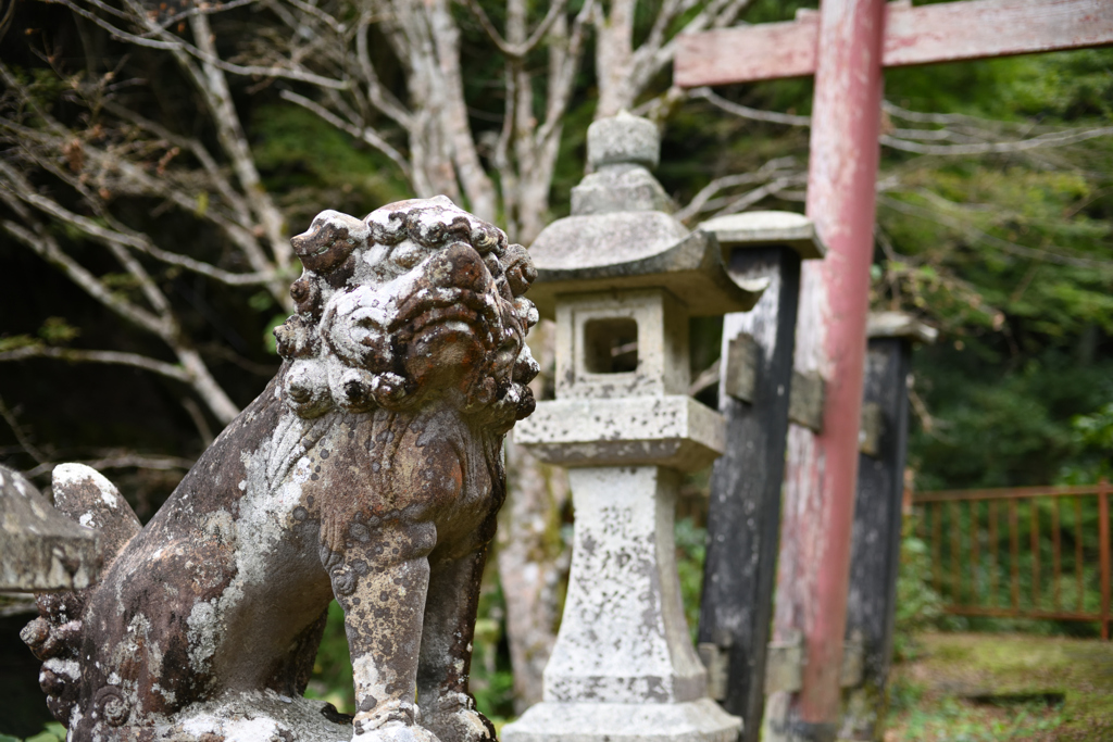 狛犬