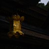 金色の光