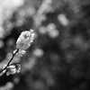 槇尾散策__06