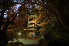 奈良　桜井市　談山神社　ライトアップ__06