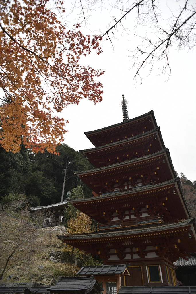 長谷寺