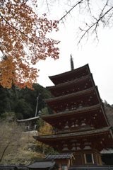 長谷寺