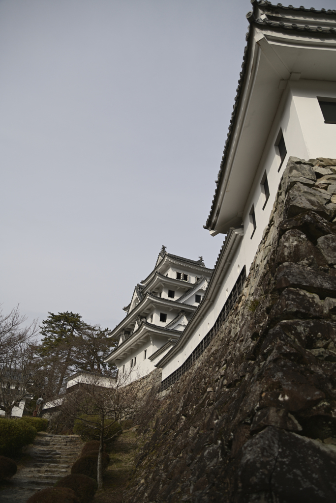 郡上八幡城__01