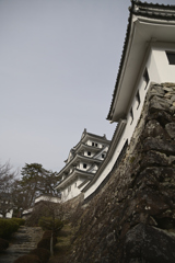 郡上八幡城__01