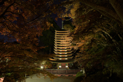 奈良　桜井市　談山神社　ライトアップ__08