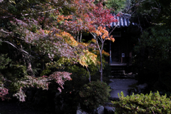 和泉市　松尾寺