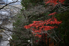 東近江　太郎坊宮_