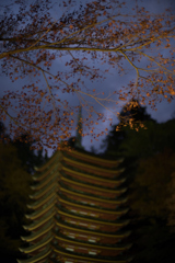 奈良　桜井市　談山神社　ライトアップ__05