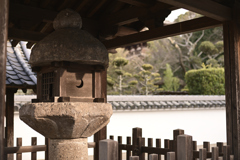 奈良　葛城　当麻寺__04