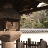 奈良　葛城　当麻寺__04