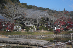 和歌山県岩出市　根来寺　常光明真言殿