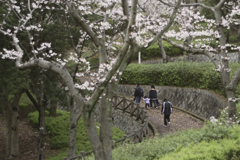 雨上がり　公園__02