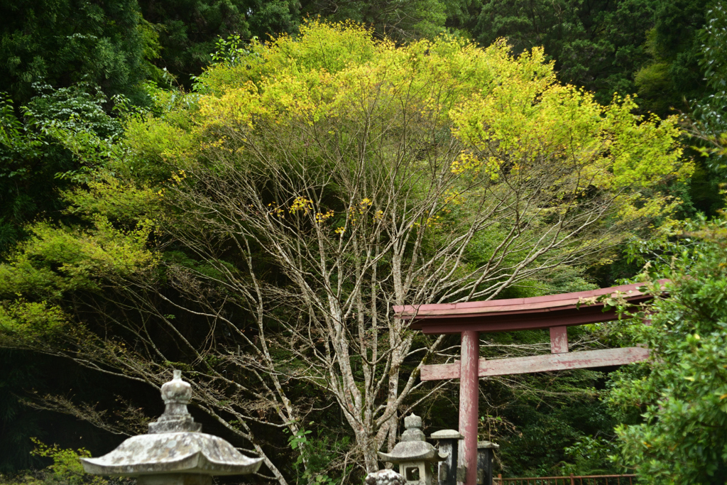 一言主神社　まもなく