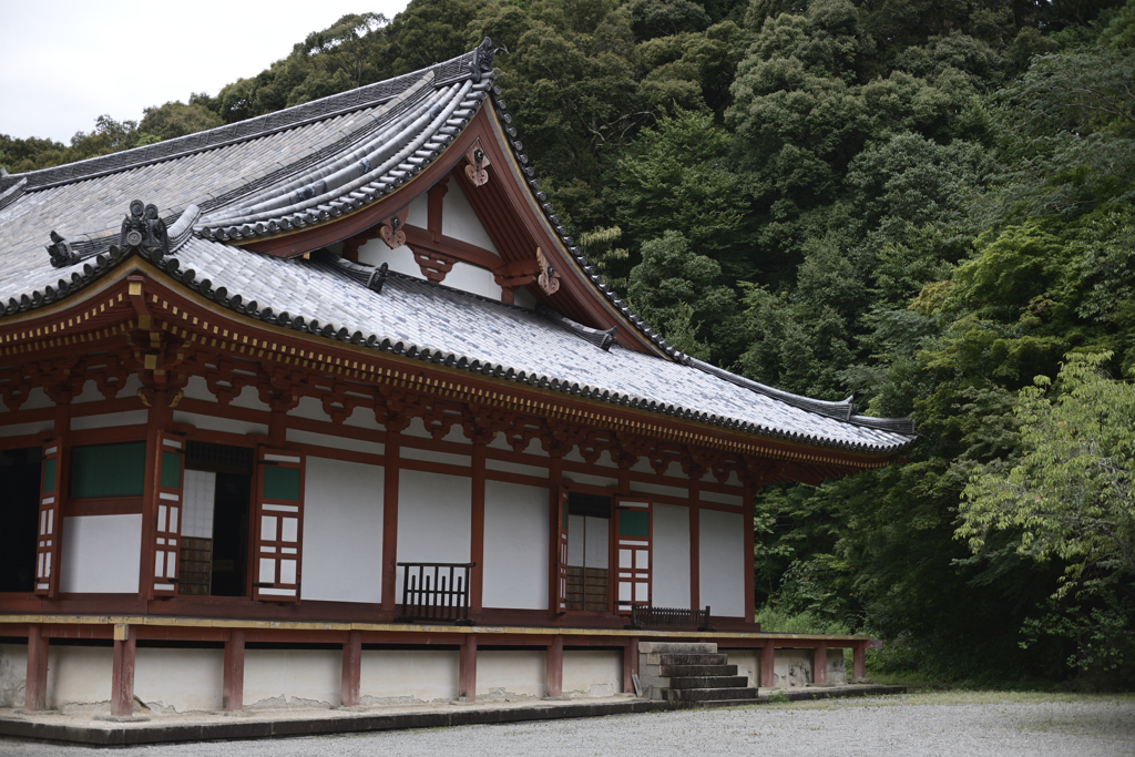 20190806 大阪府河内長野市観心寺__03