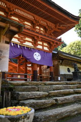 丹生都比賣神社