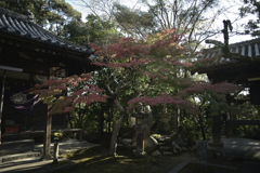 和泉市　松尾寺__05