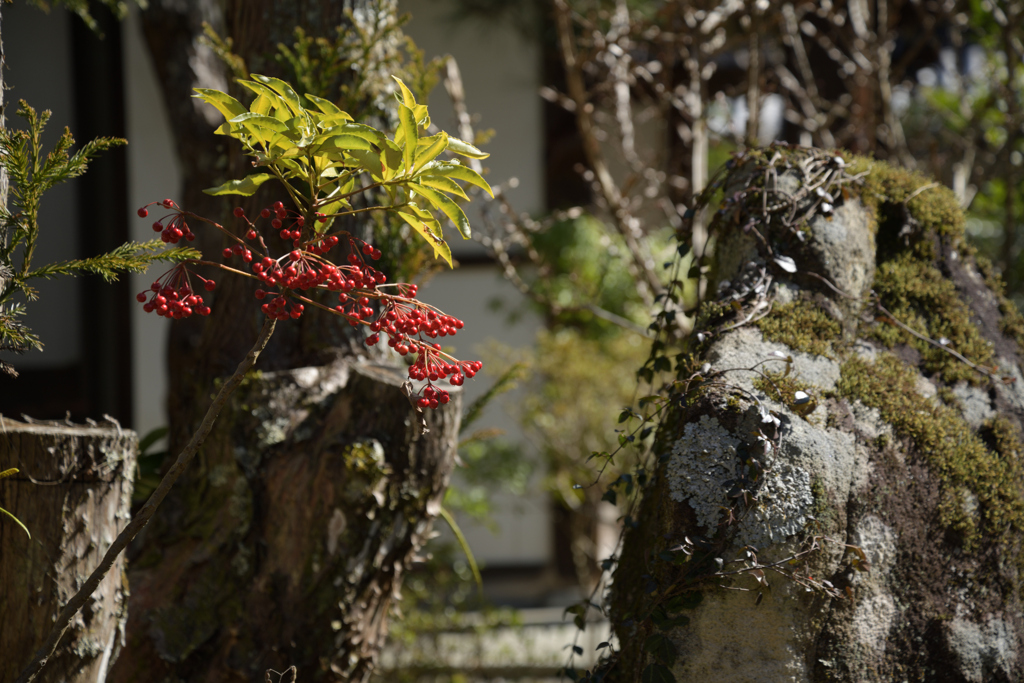 河内長野　延命寺_