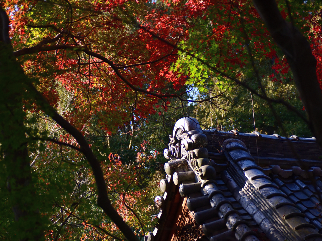 和泉市　松尾寺__06