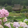 美山かやぶきの里