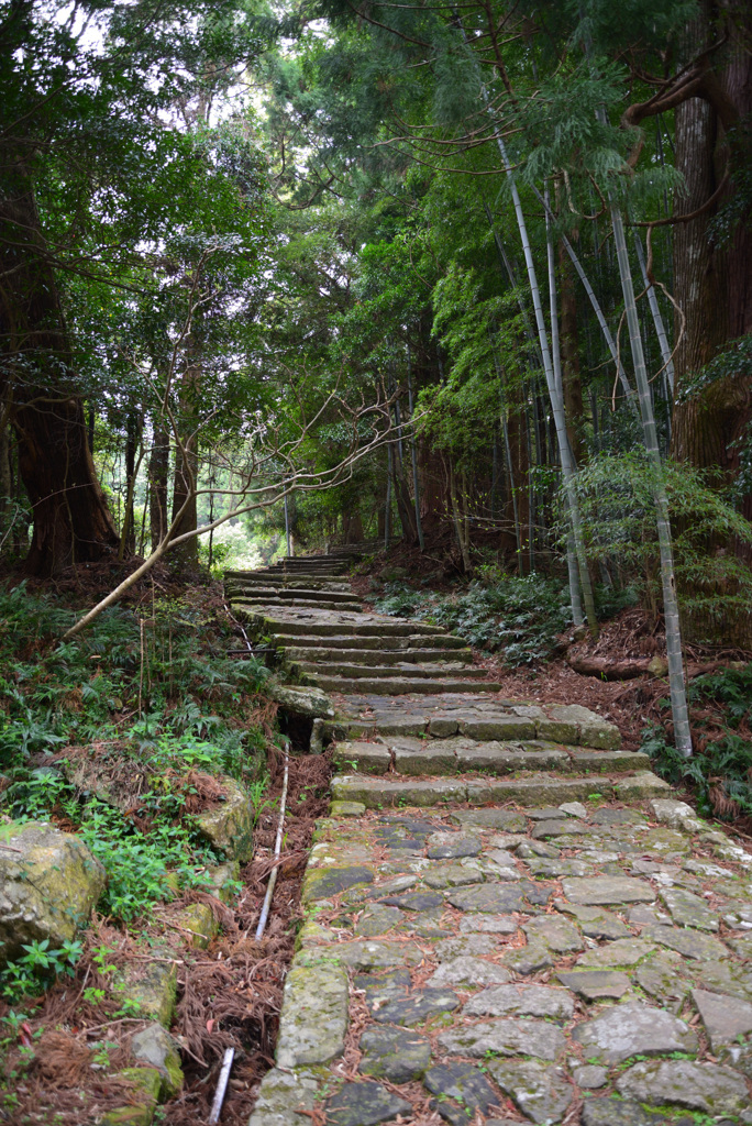 熊野古道　大門坂