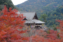 長谷寺