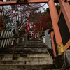 東近江　太郎坊宮__02