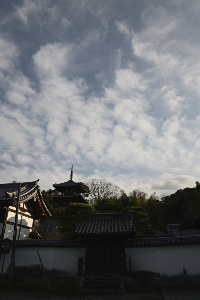 奈良　葛城　当麻寺__08
