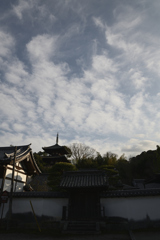 奈良　葛城　当麻寺__08