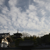 奈良　葛城　当麻寺__08