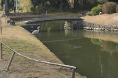 和歌山県岩出市　根来寺