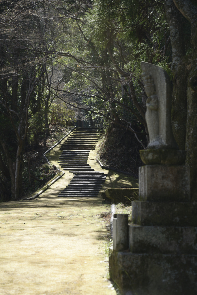 河内長野　延命寺__01