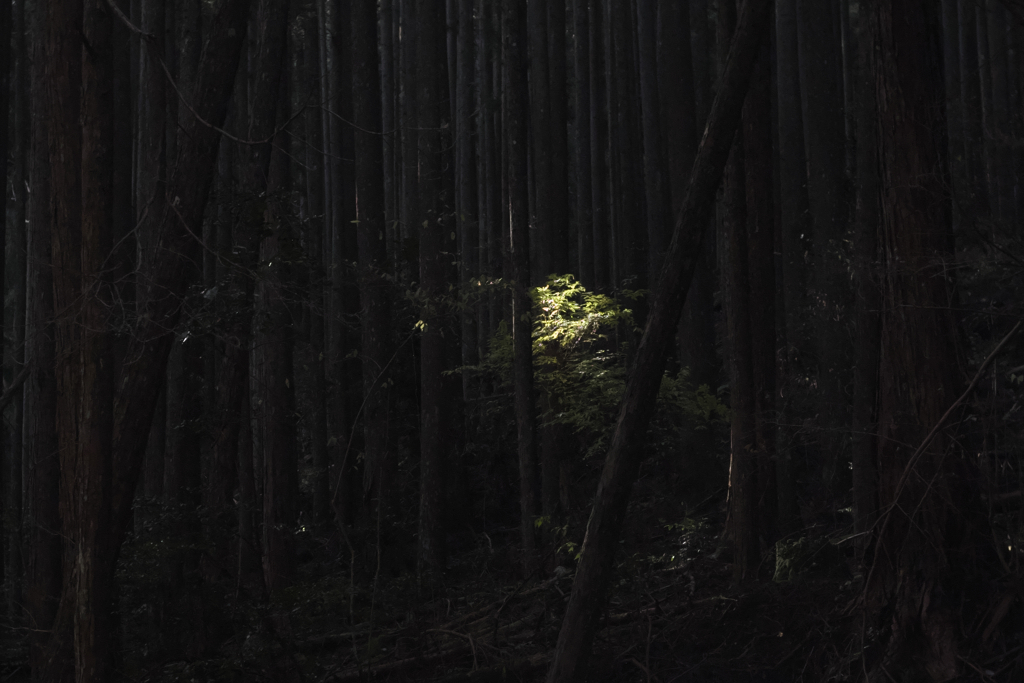 室生　龍鎮2