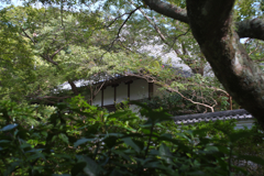 河内長野　延命寺